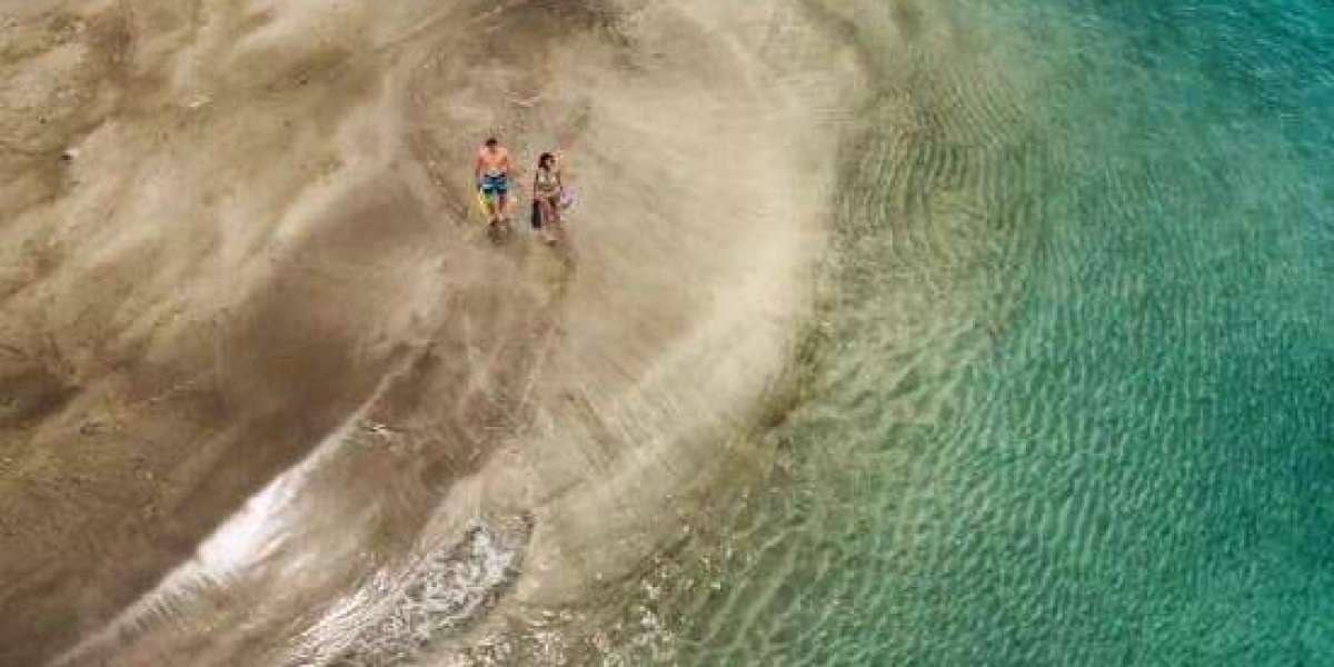 Gross Rent Vs. net Rent: Key Differences For Residential Or Commercial Property Managers